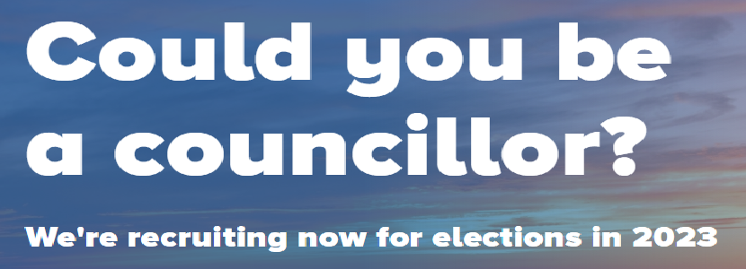 Could you be a Councillor?